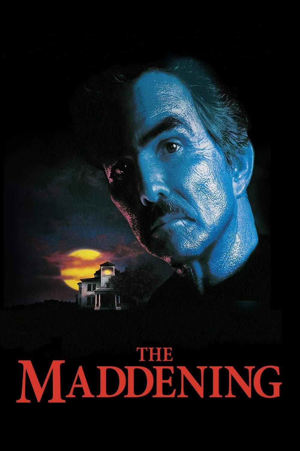 Poster The Maddening