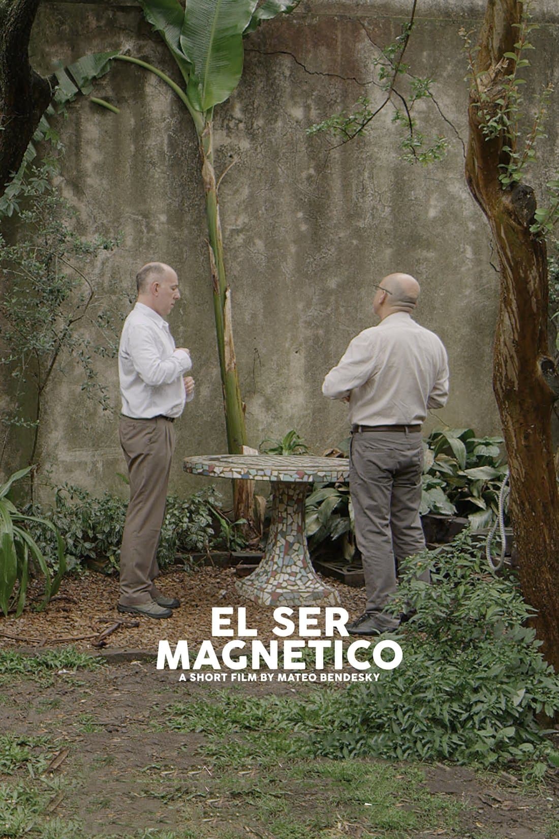 Poster The Magnetic Nature