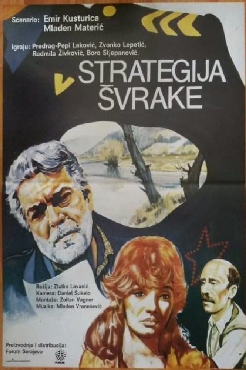 Poster The Magpie Strategy