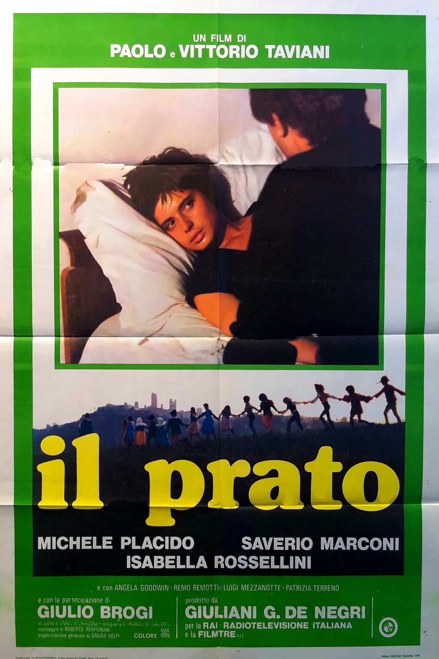 Poster The Meadow