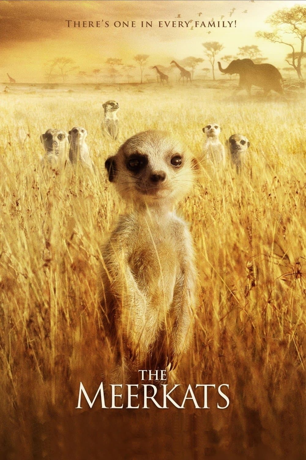 Poster The Meerkats