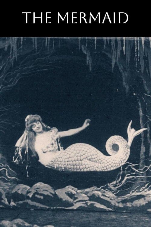 Poster The Mermaid