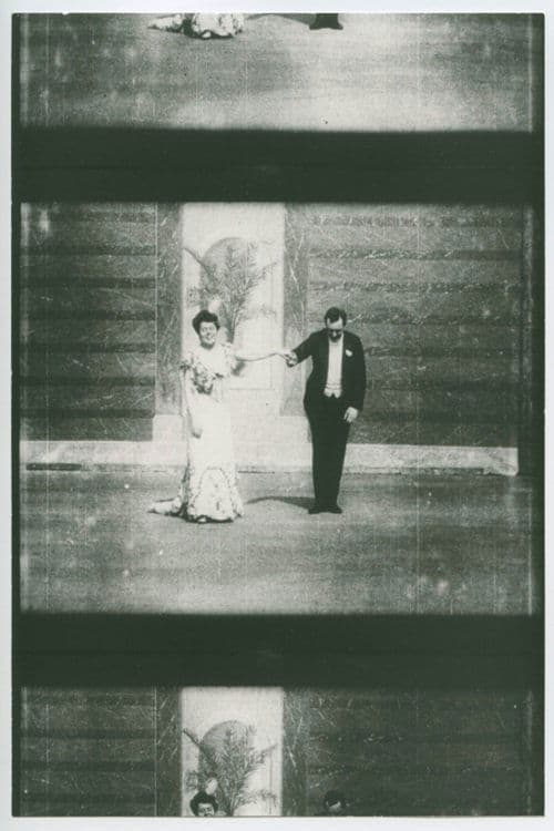 Poster The Merry Widow