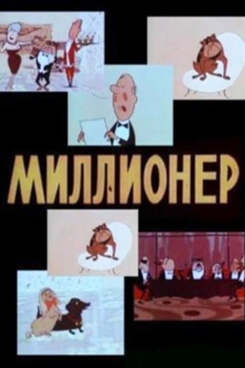 Poster The Millionaire