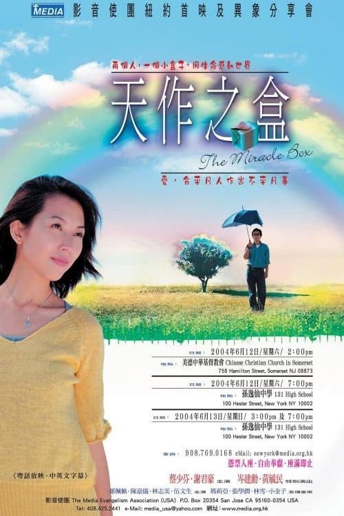 Poster The Miracle Box