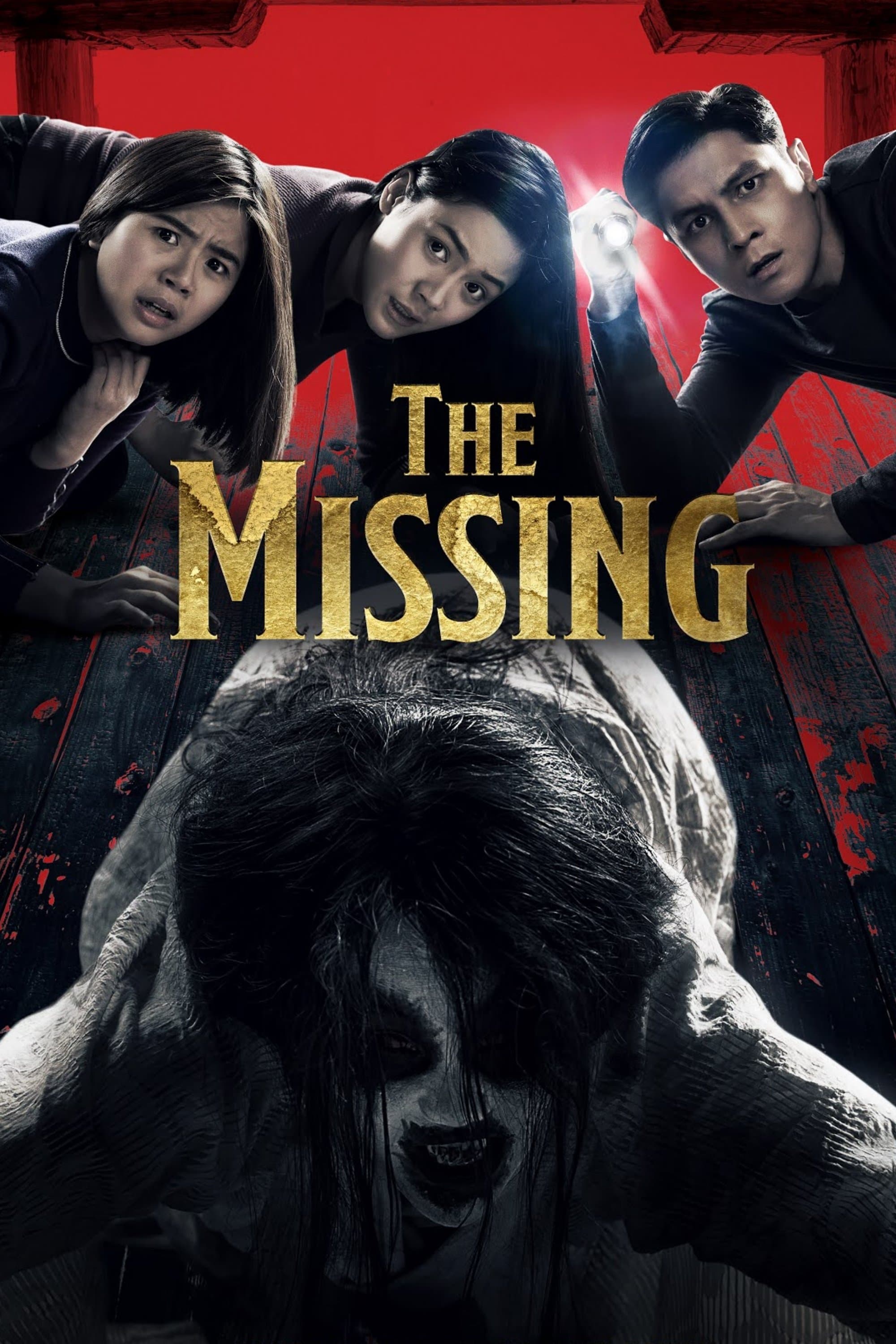 Poster The Missing