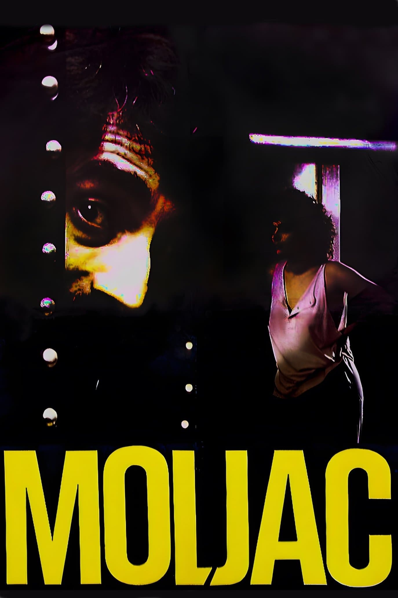 Poster The Moth