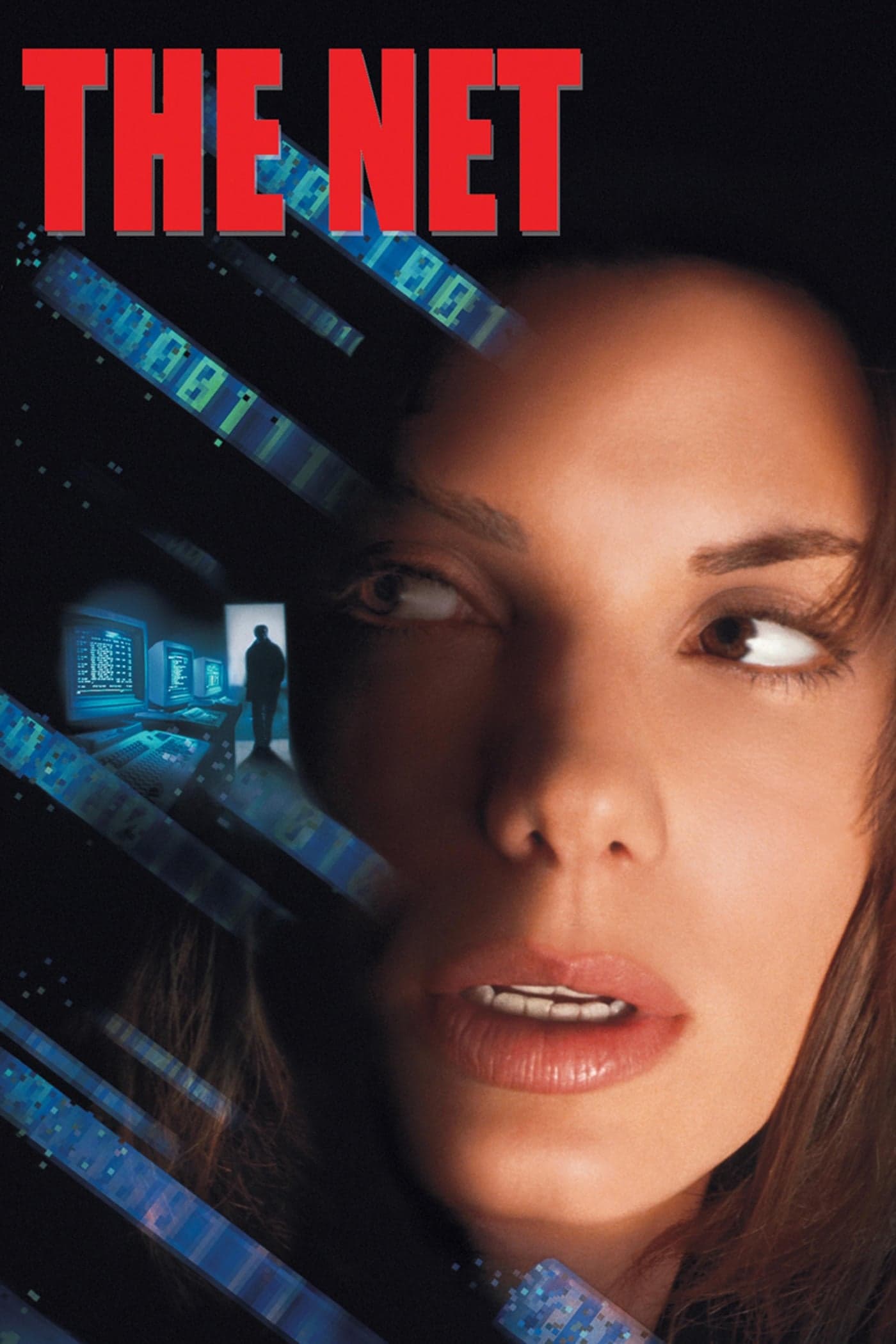 Poster The Net