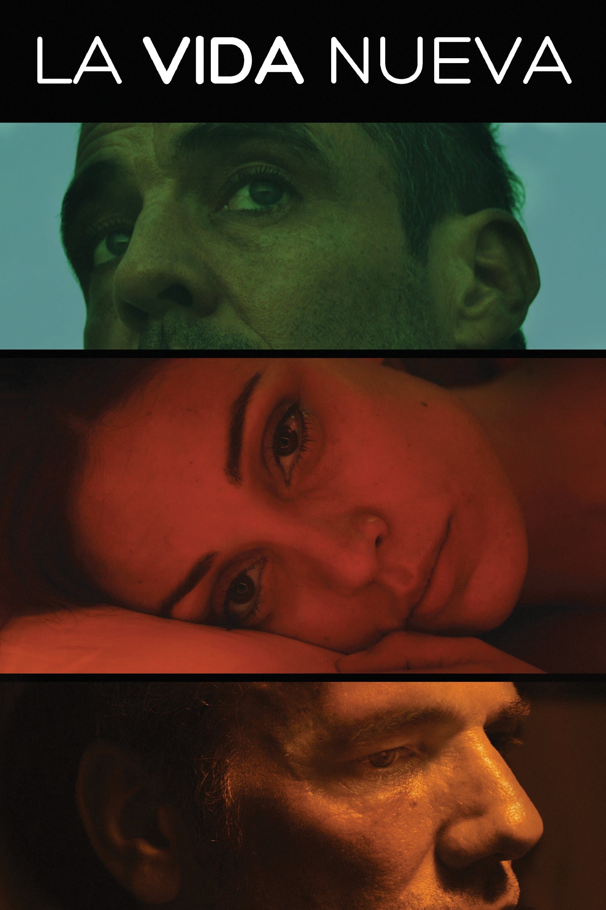 Poster The New Life