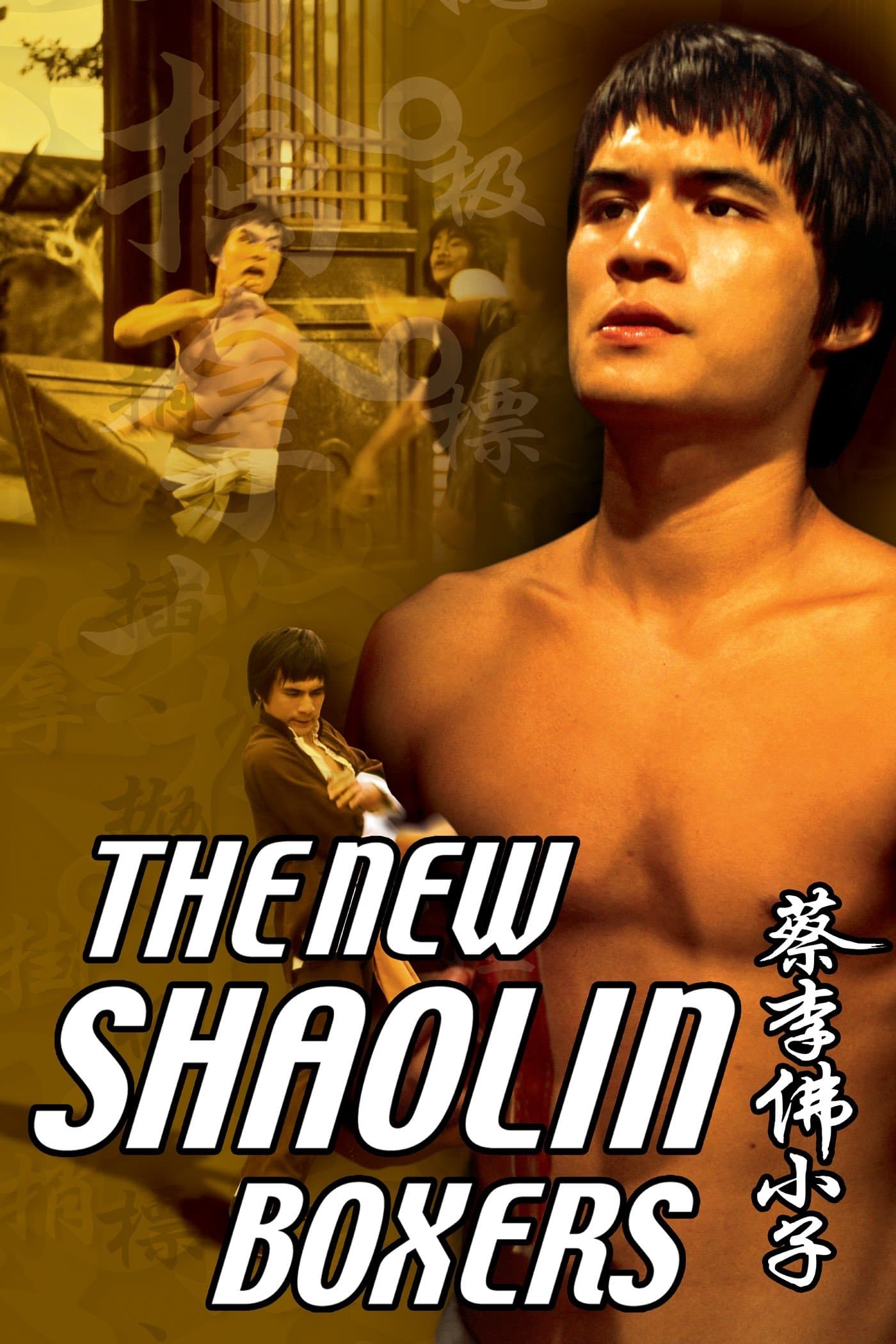 Poster The New Shaolin Boxers