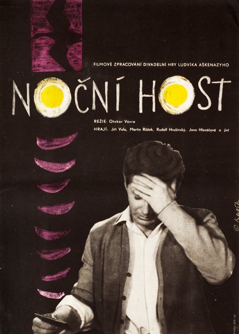Poster The Night Guest