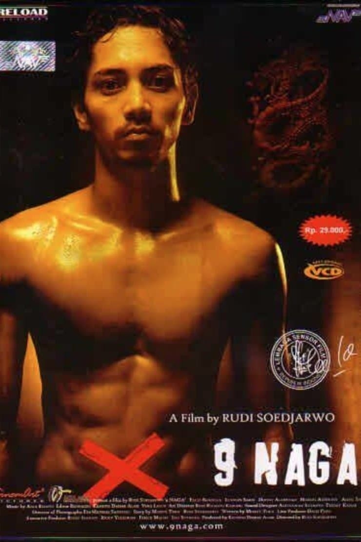 Poster The Nine Dragon