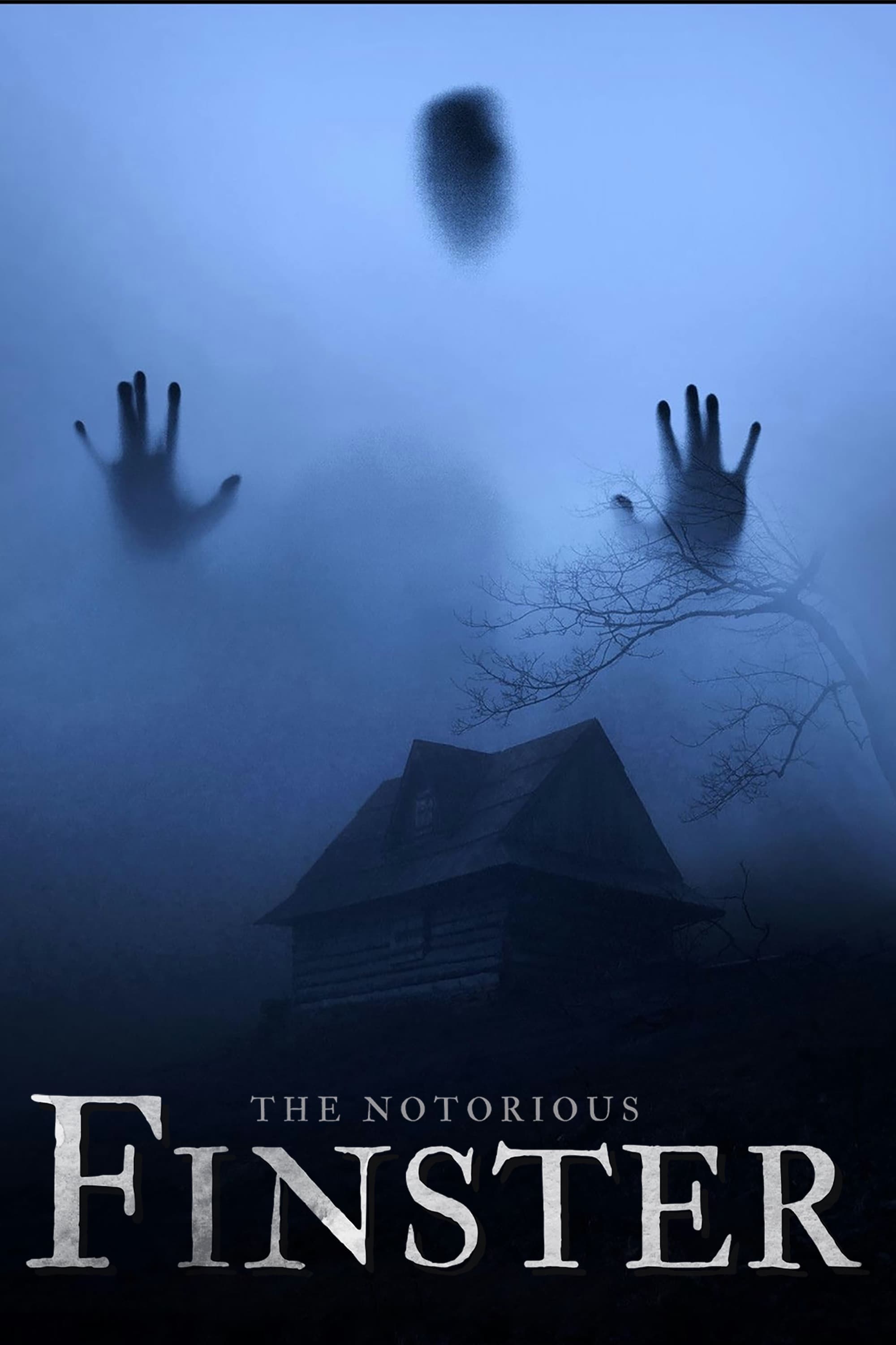 Poster The Notorious Finster