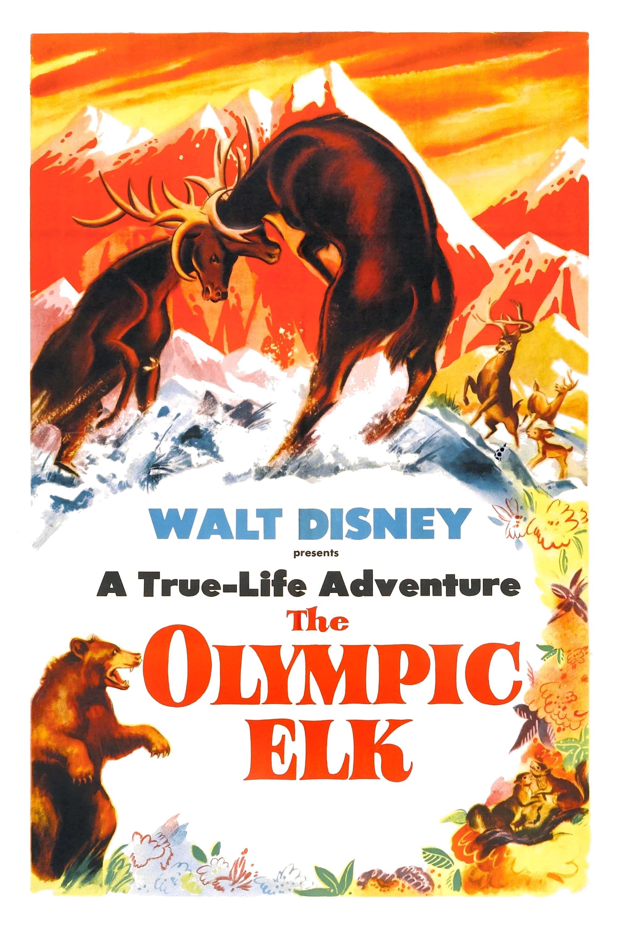 Poster The Olympic Elk