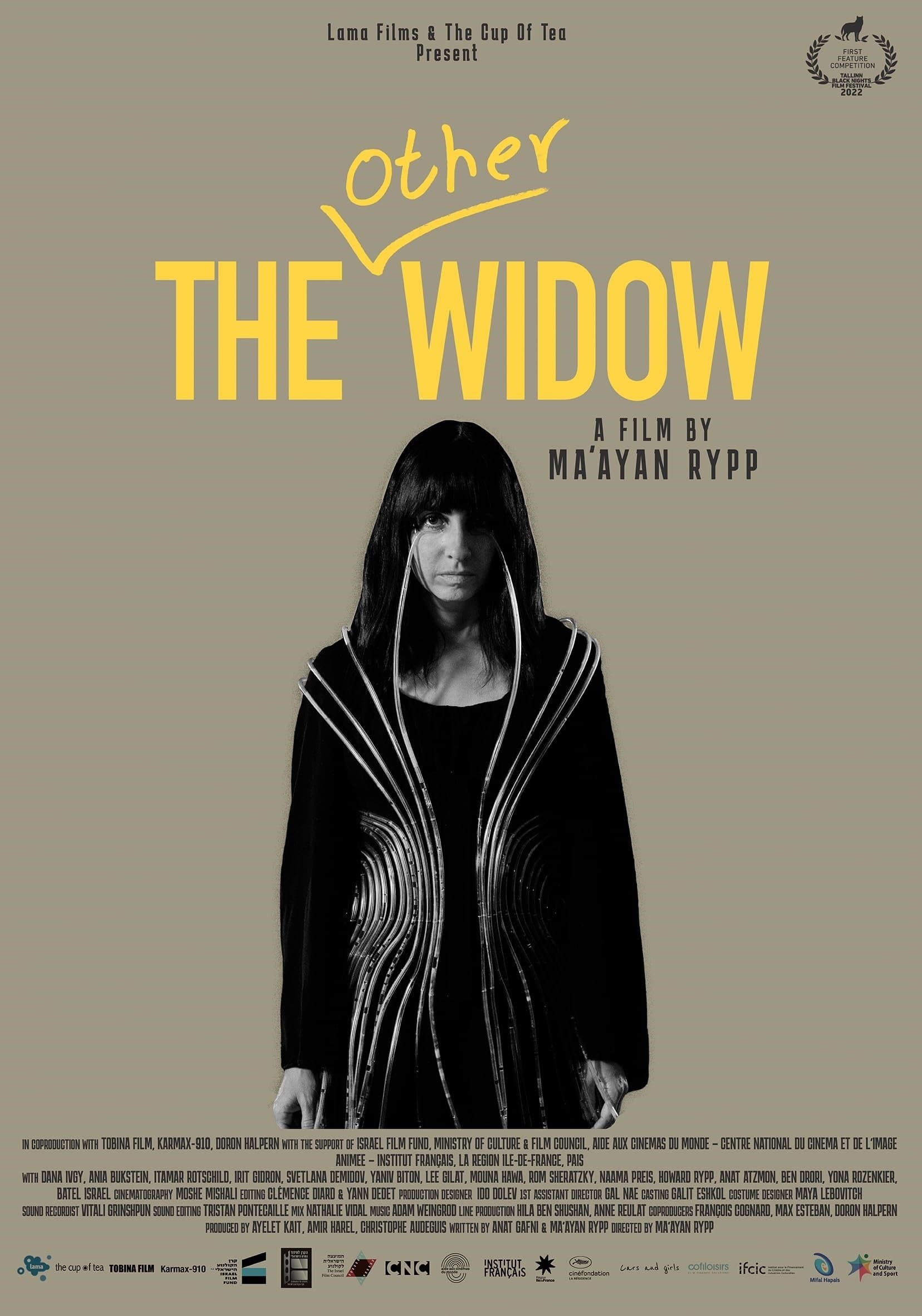 Poster The Other Widow
