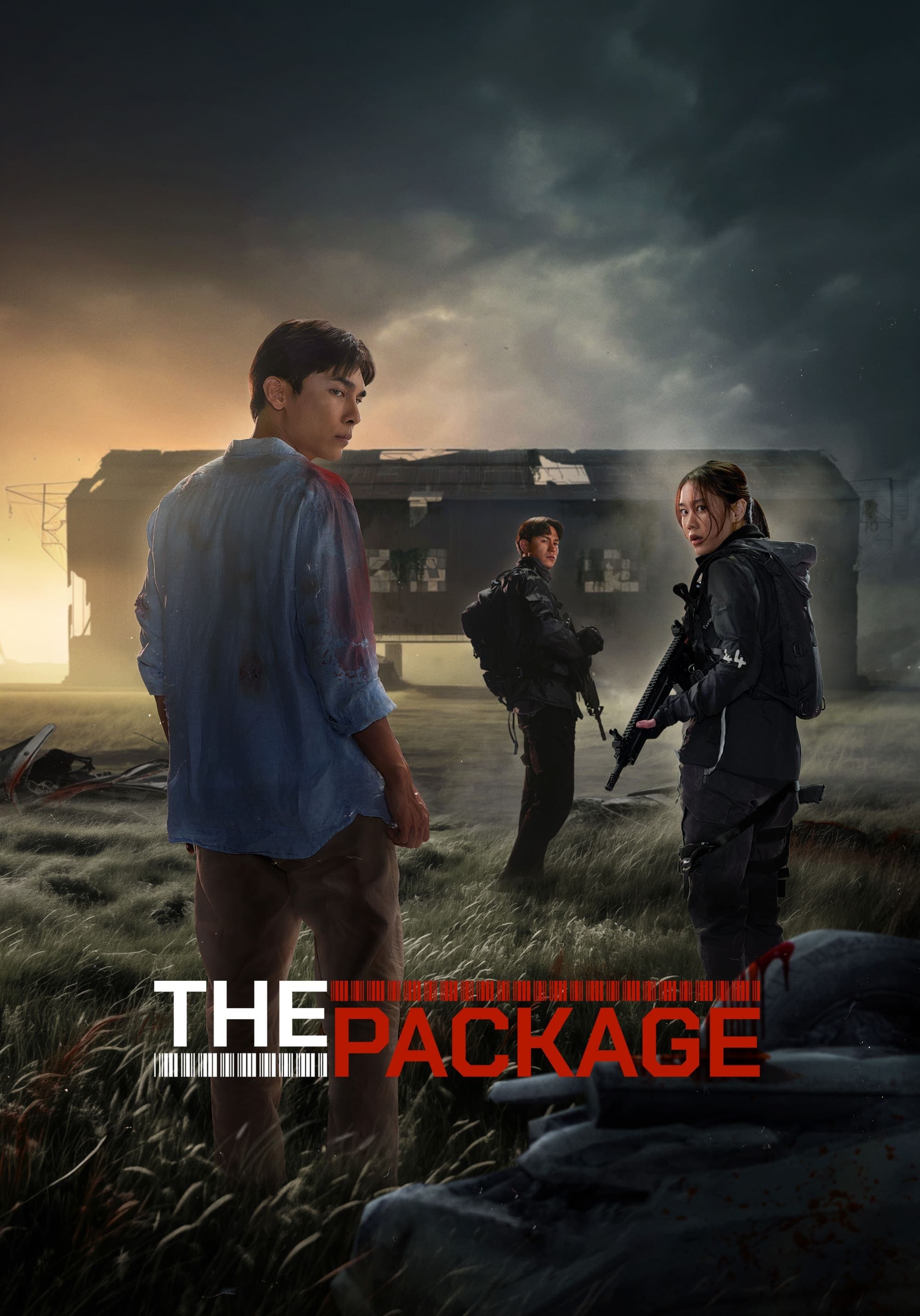 Poster The Package