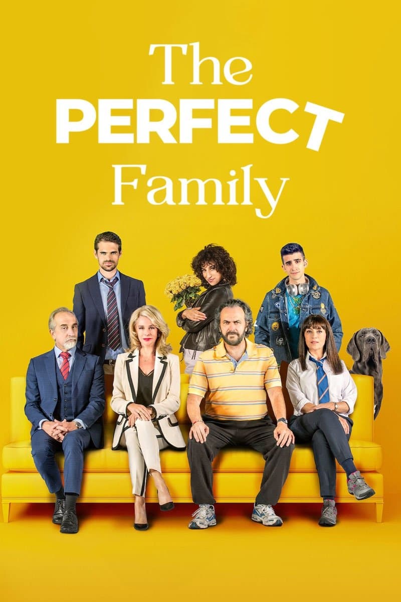 Poster The Perfect Family