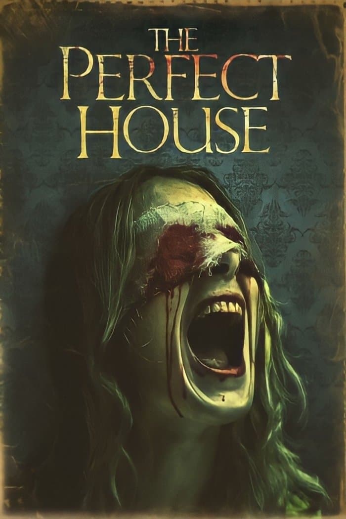 Poster The Perfect House
