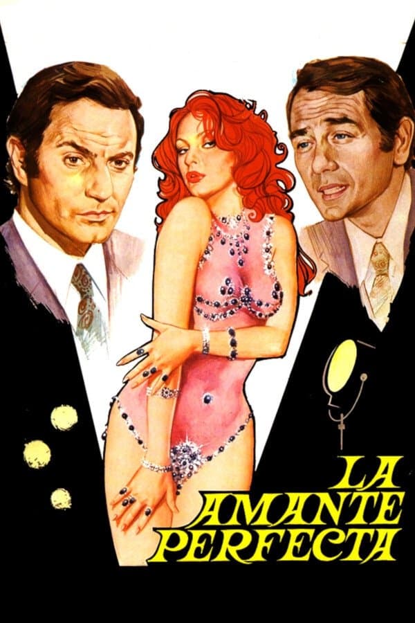 Poster The Perfect Lover