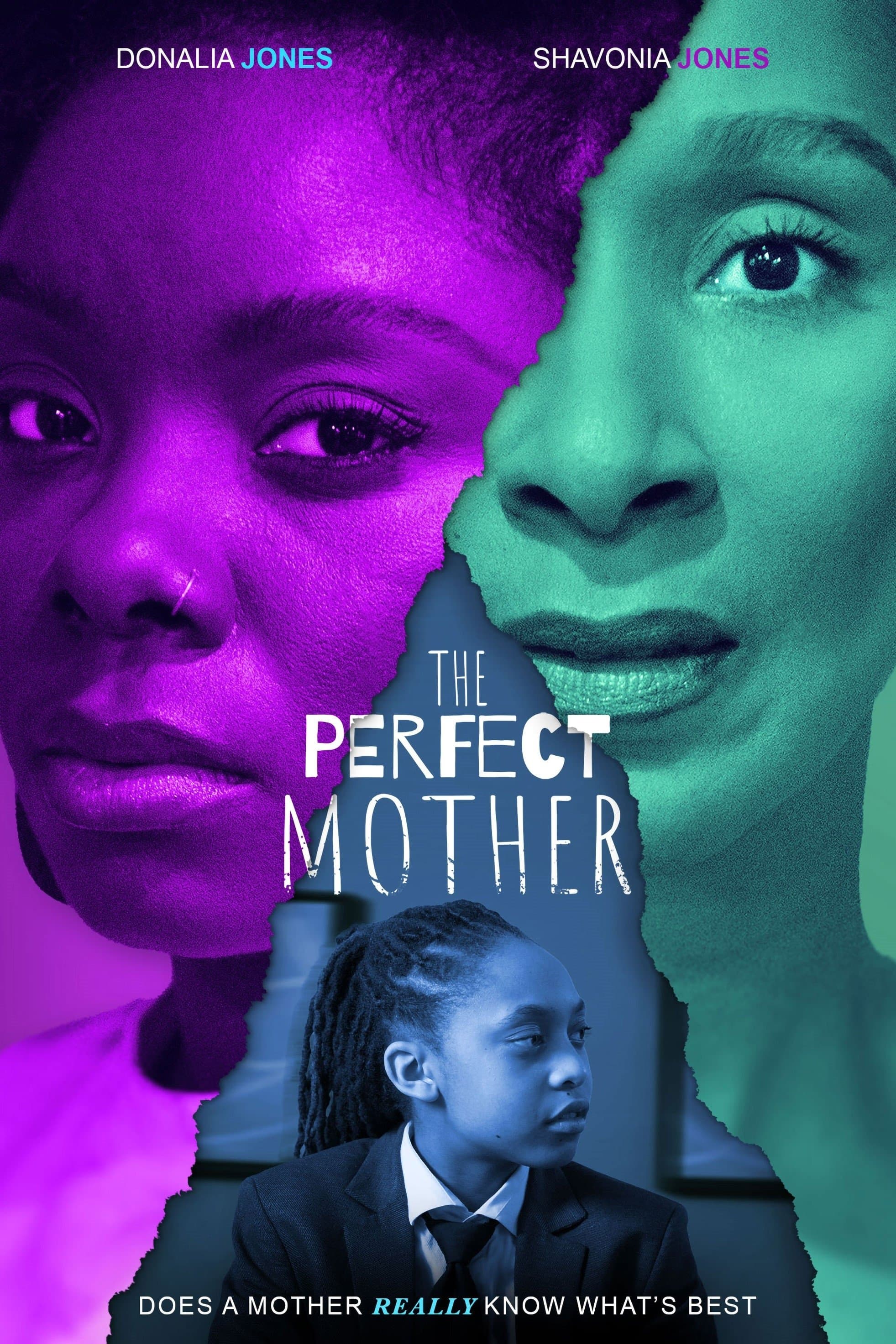 Poster The Perfect Mother