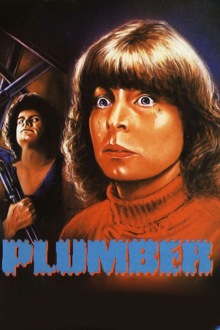 Poster The Plumber