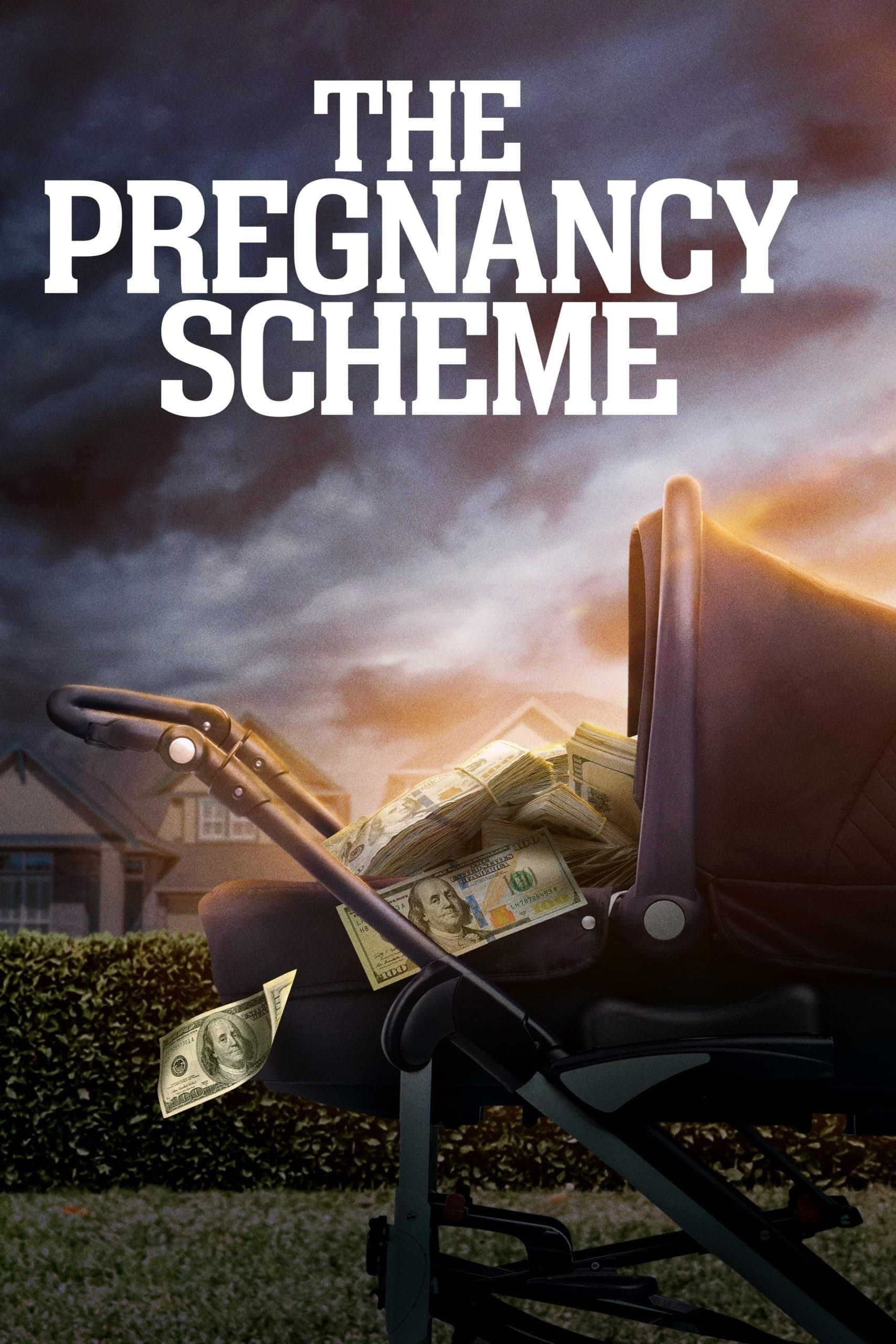 Poster The Pregnancy Scheme