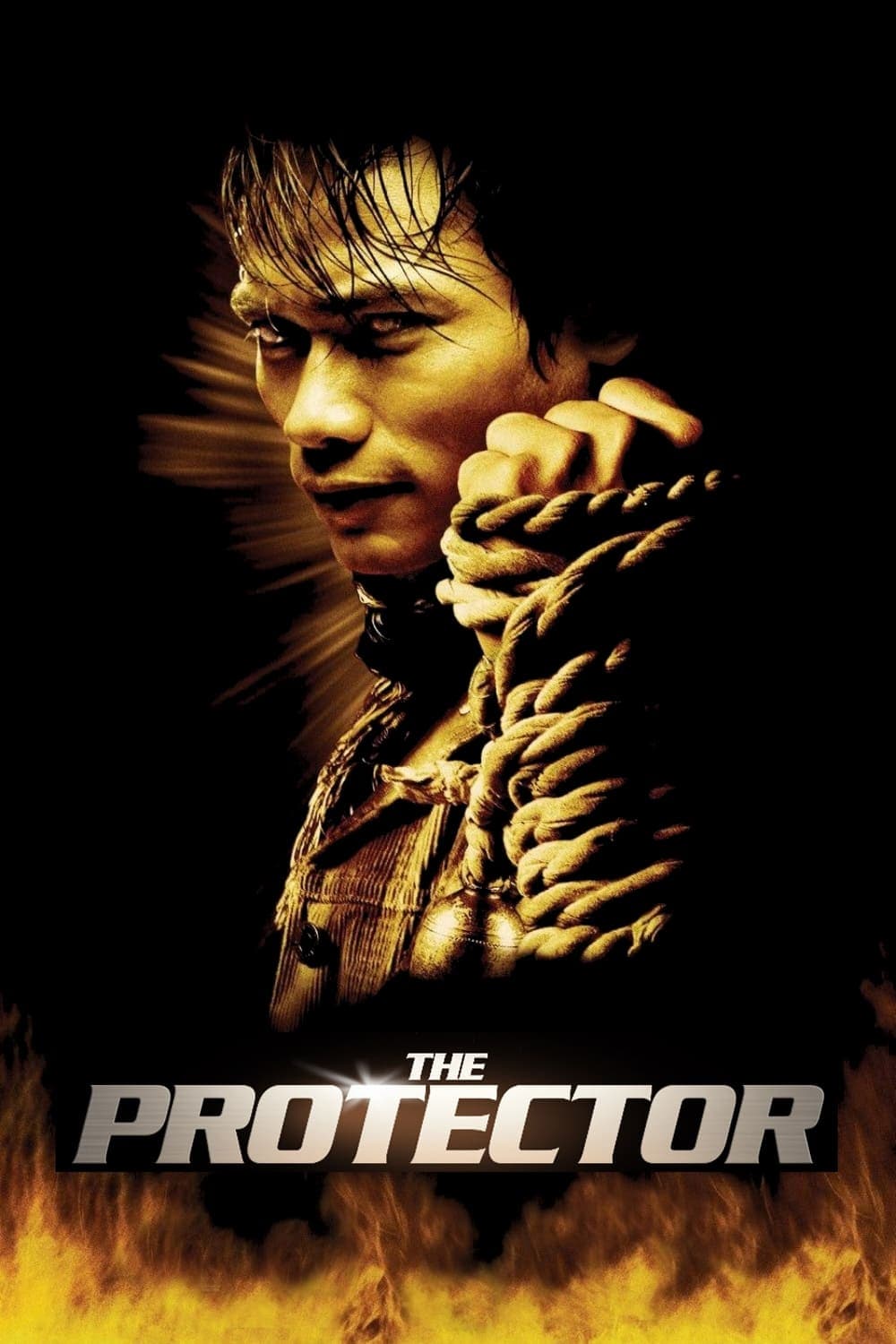 Poster The Protector