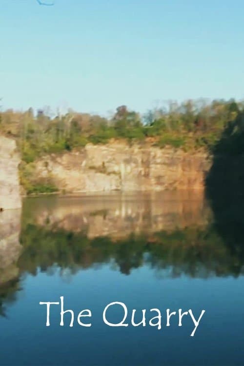 Poster The Quarry