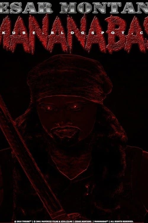 Poster The Reaper