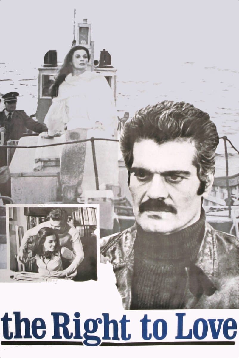 Poster The Right to Love