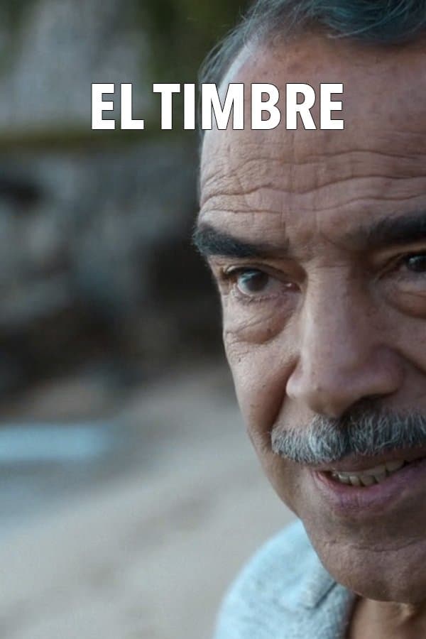 Poster The Ringer