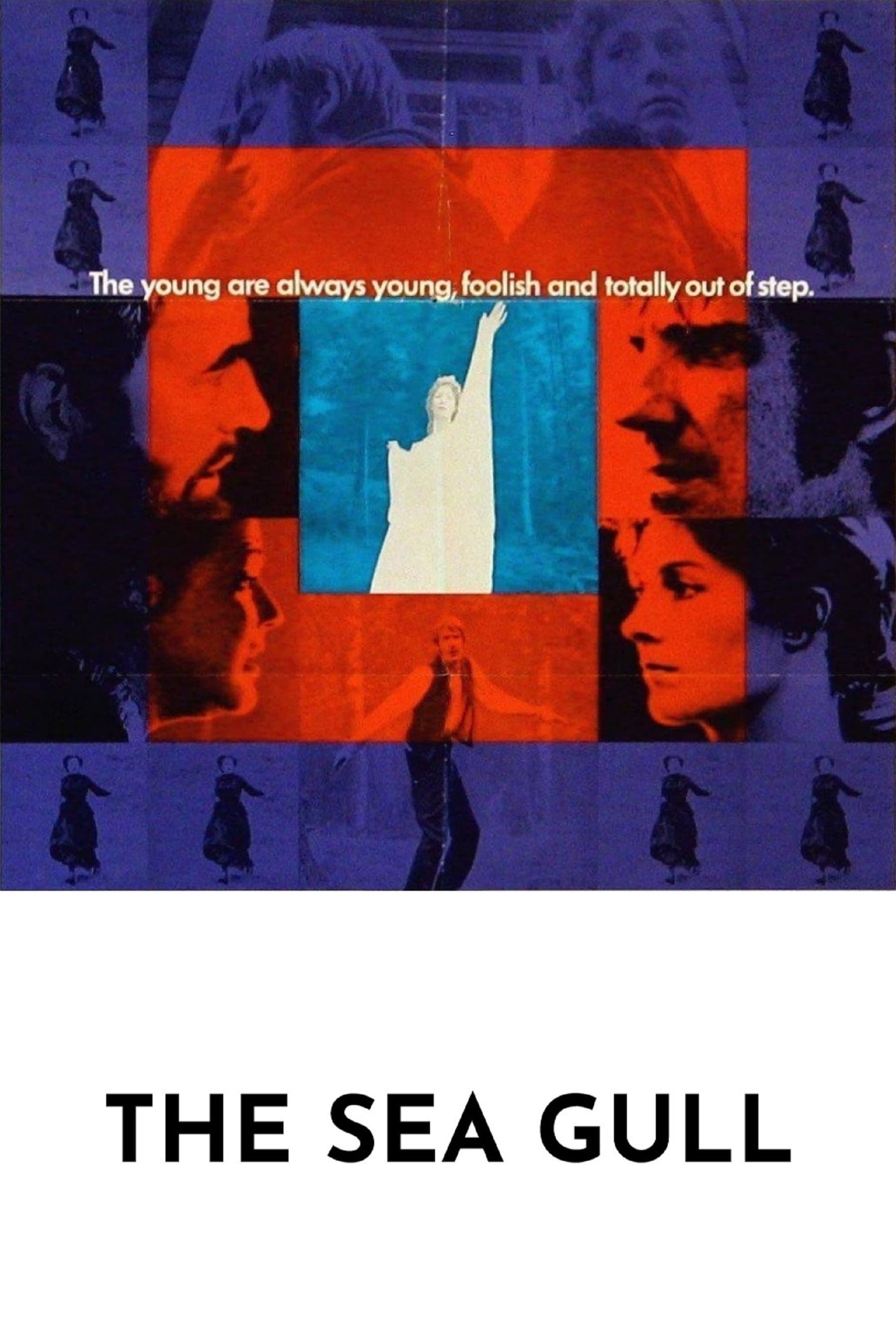 Poster The Sea Gull
