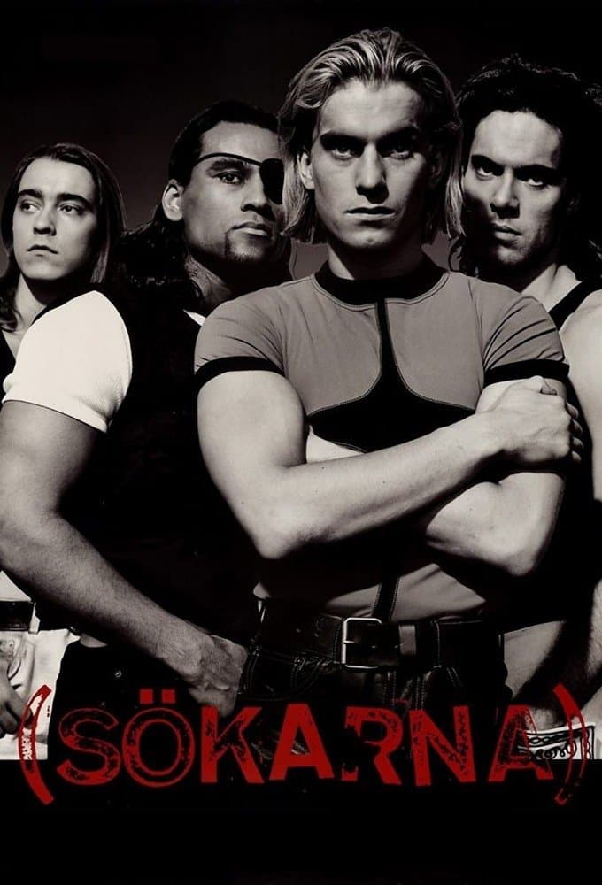 Poster The Searchers