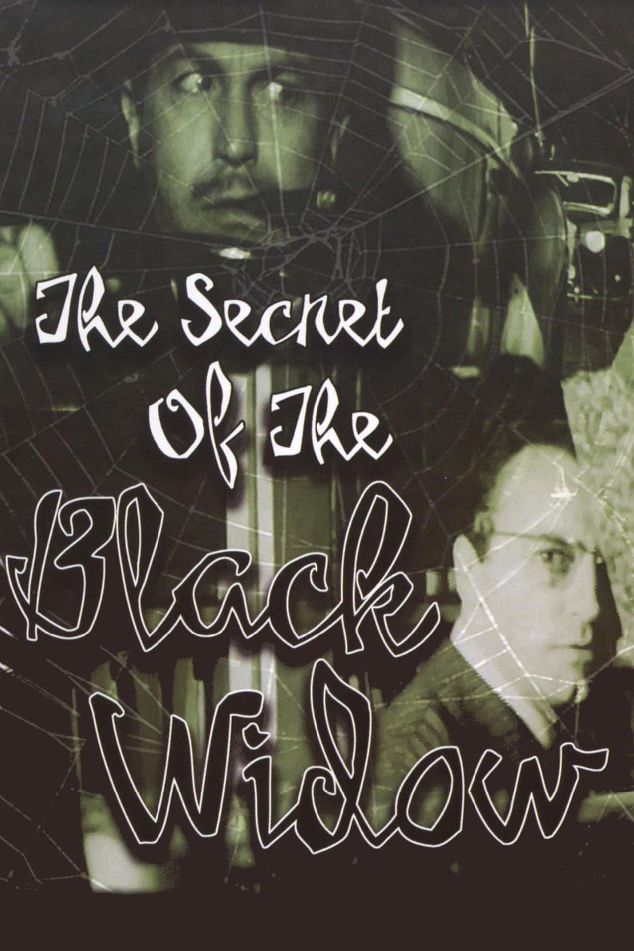 Poster The Secret of the Black Widow