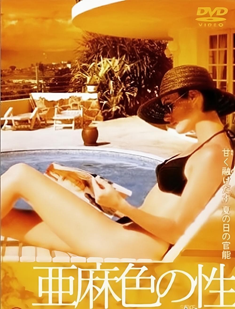 Poster The Secret Weapon