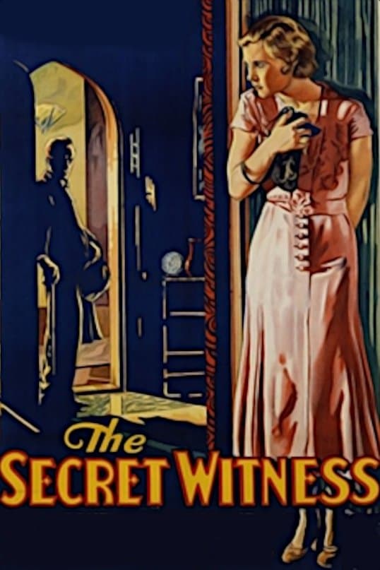 Poster The Secret Witness