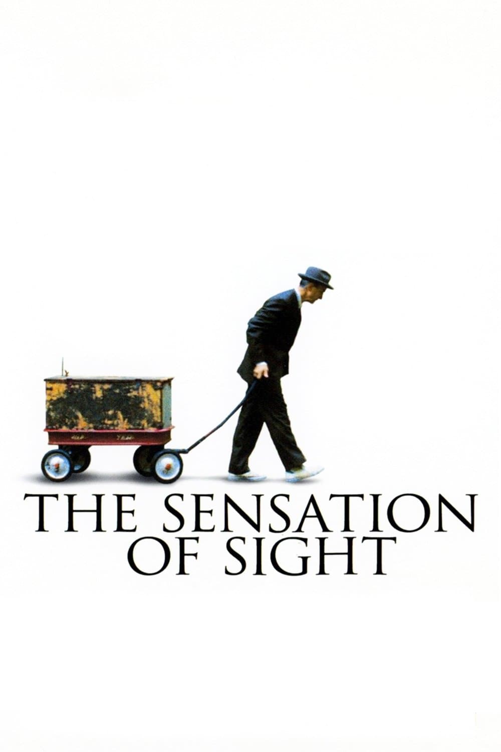 Poster The Sensation of Sight