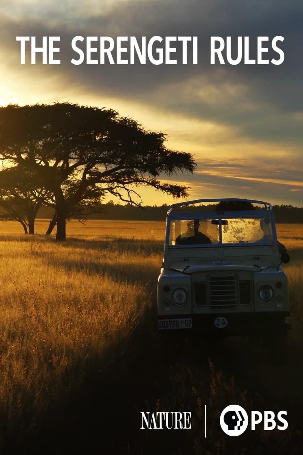 Poster The Serengeti Rules
