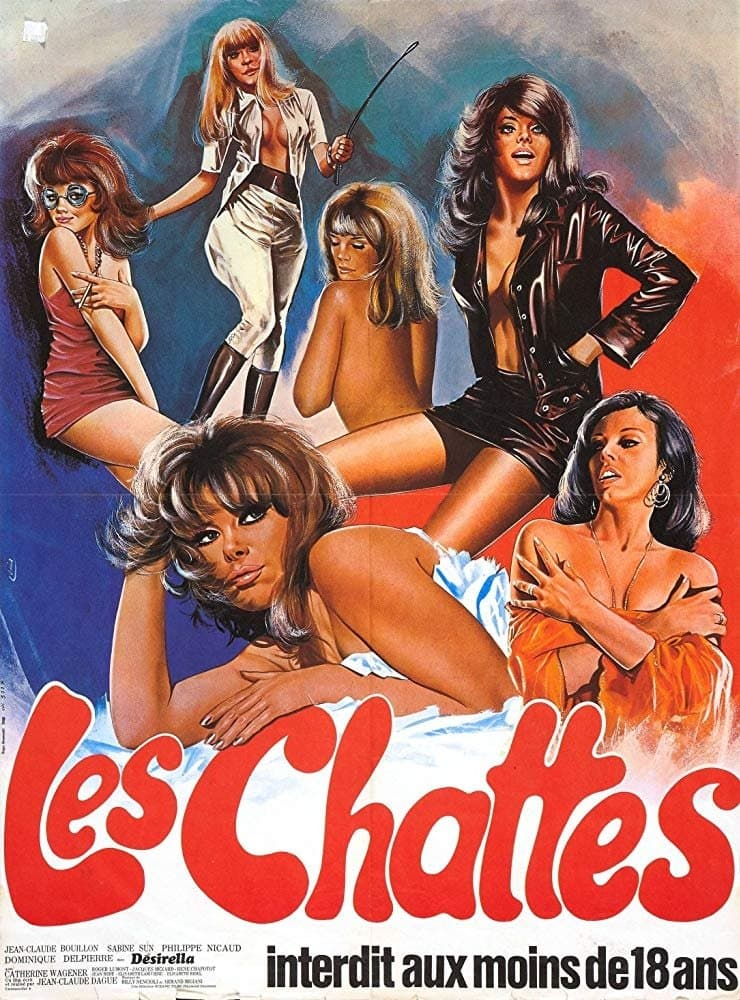 Poster The Sextrovert