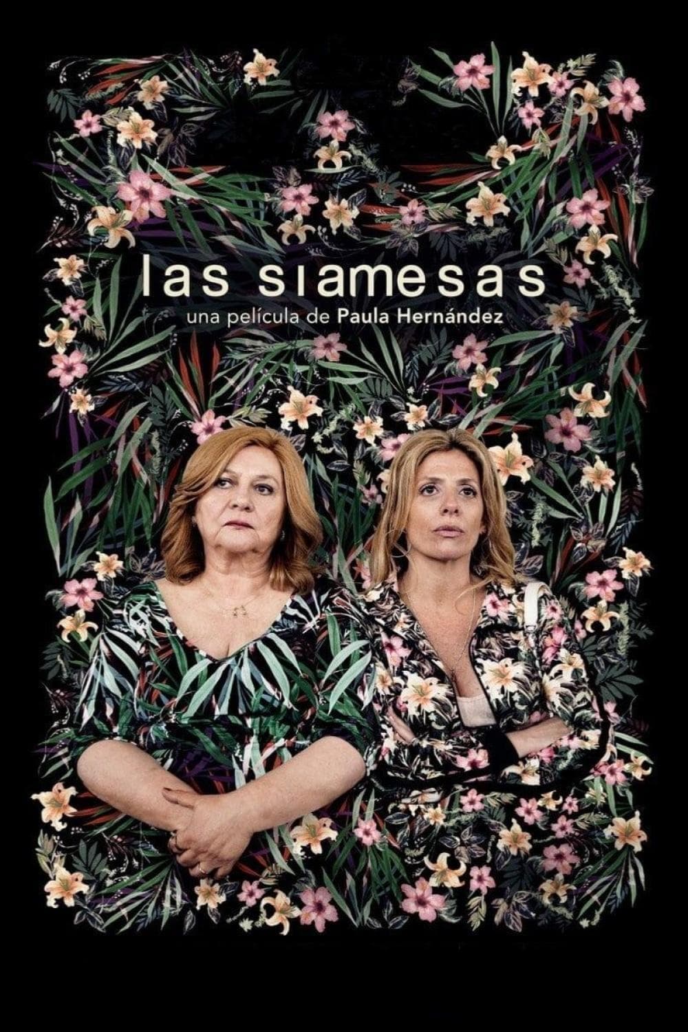 Poster The Siamese Bond