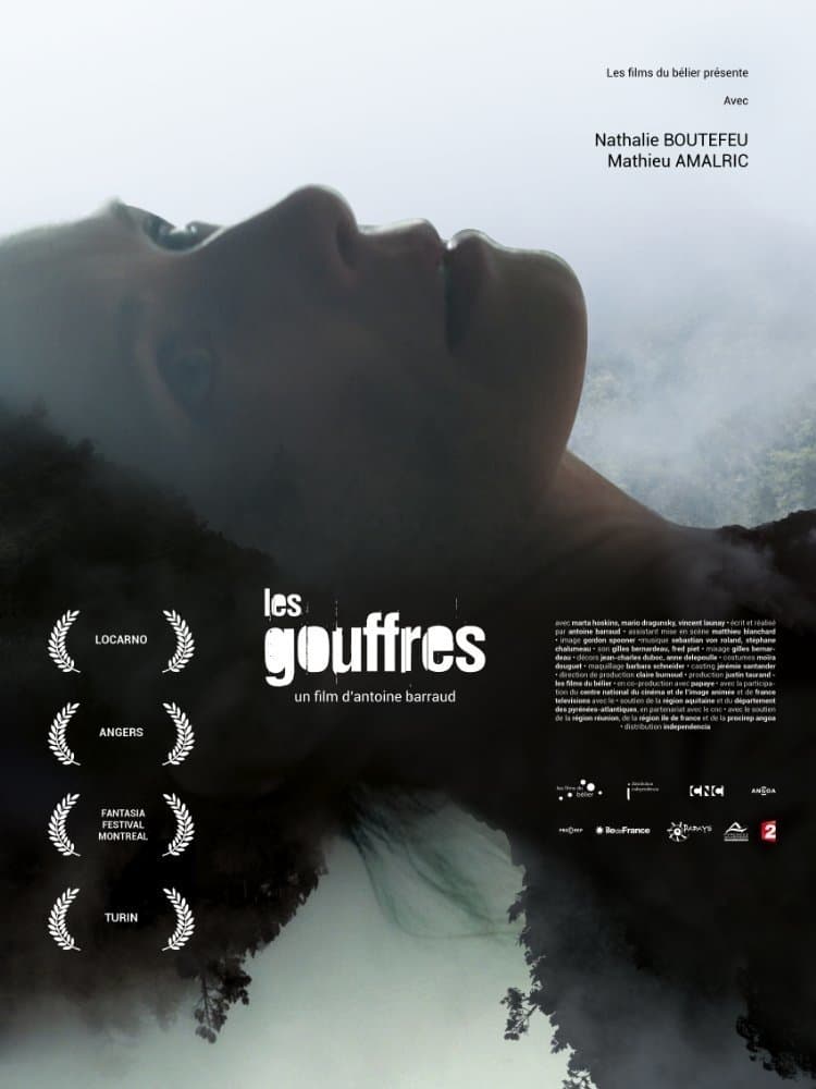 Poster The Sinkholes