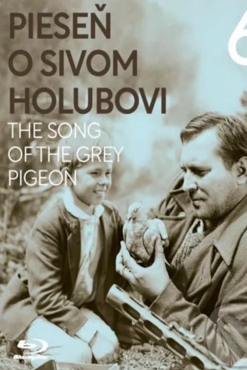 Poster The Song of the Grey Pigeon