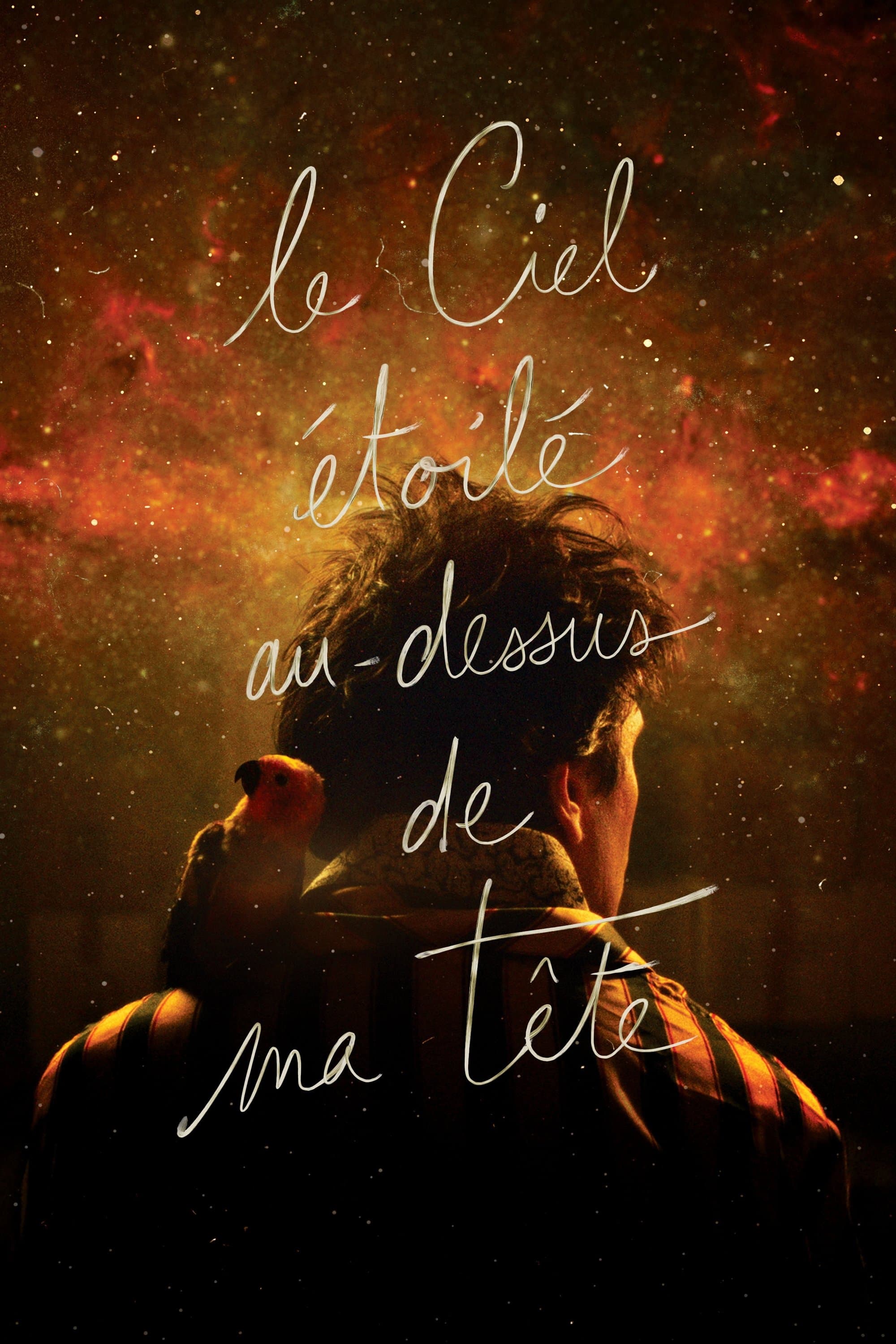 Poster The Starry Sky Above Me
