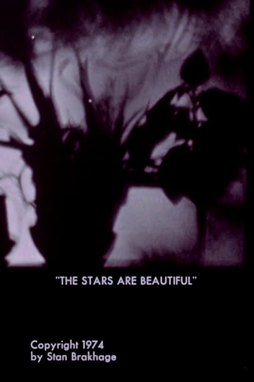 Poster The Stars Are Beautiful