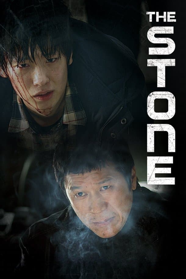 Poster The Stone