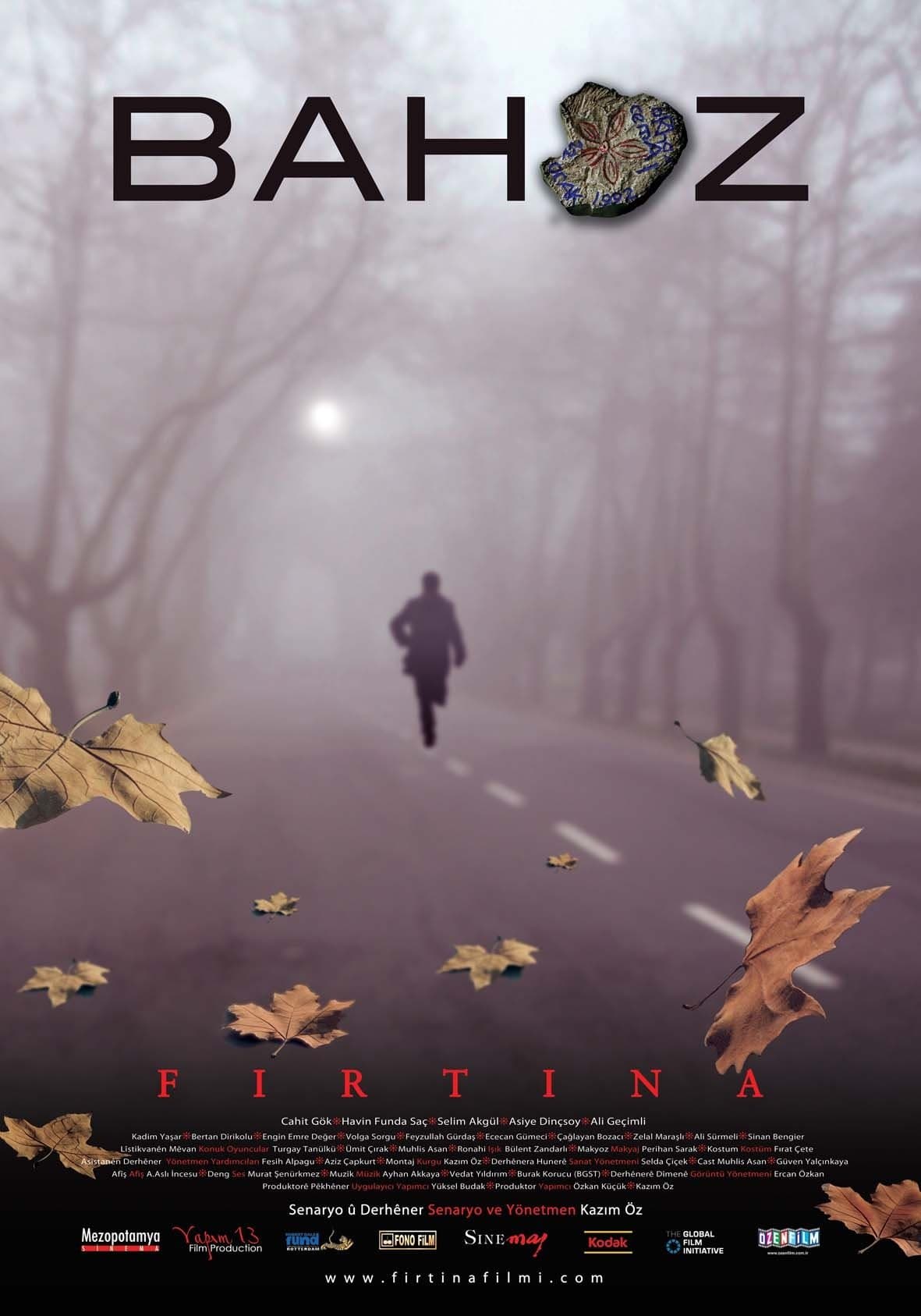 Poster The Storm