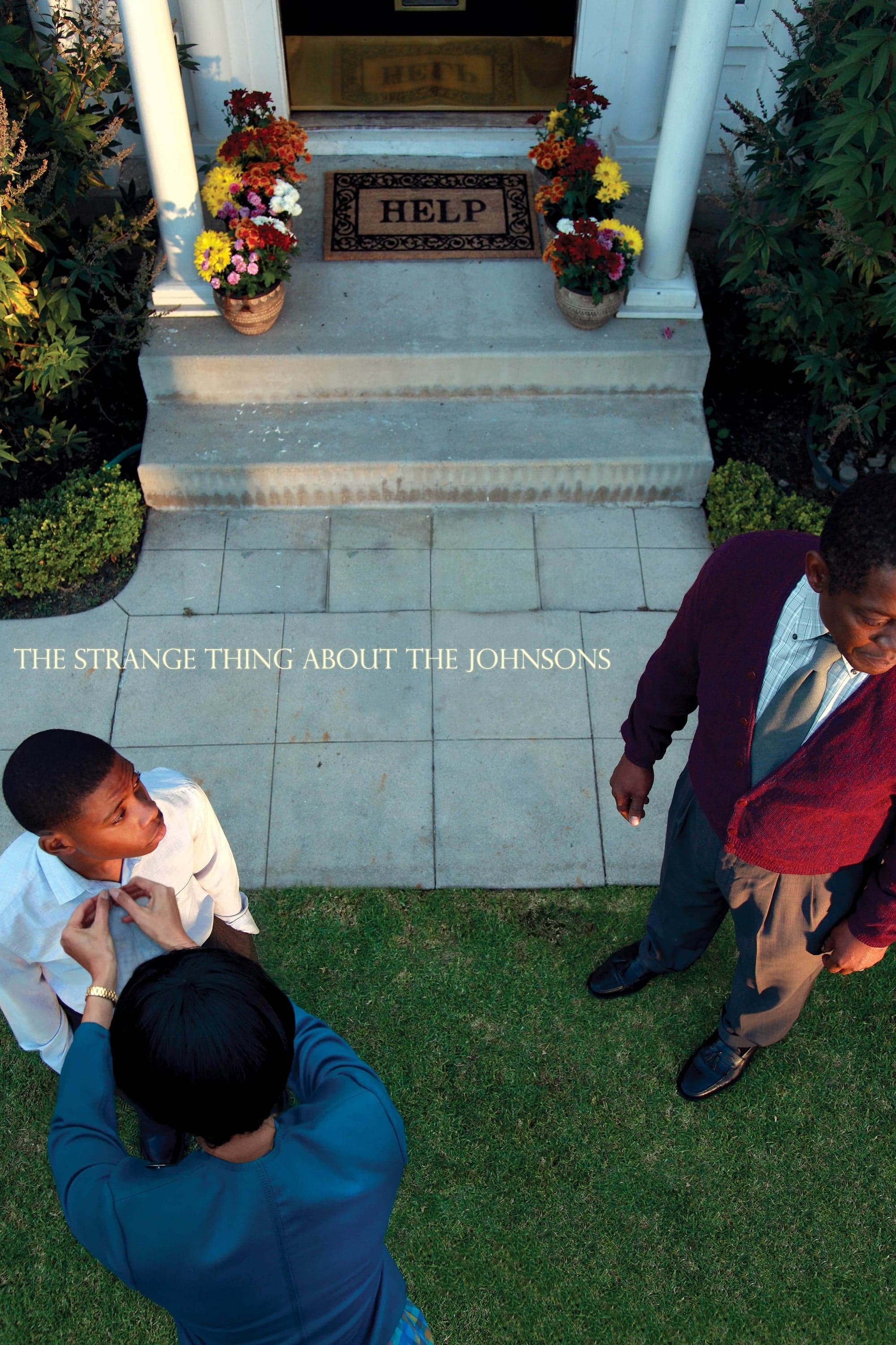 Poster The Strange Thing About the Johnsons