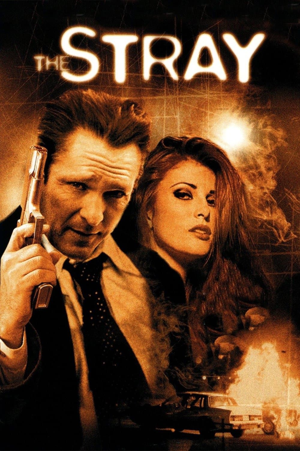 Poster The Stray