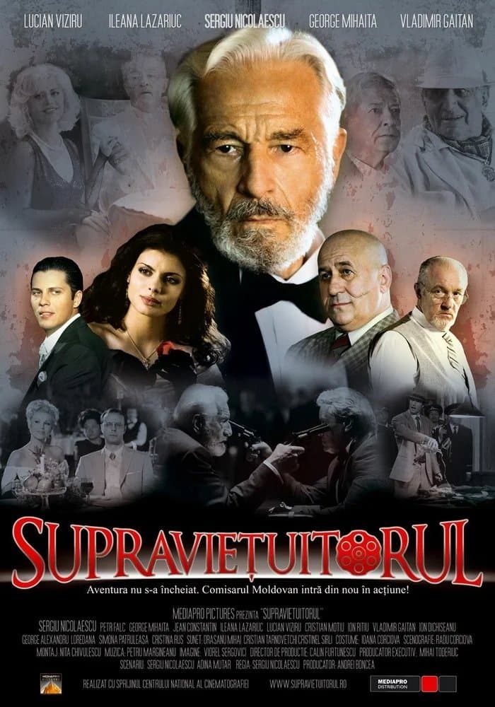 Poster The Survivor