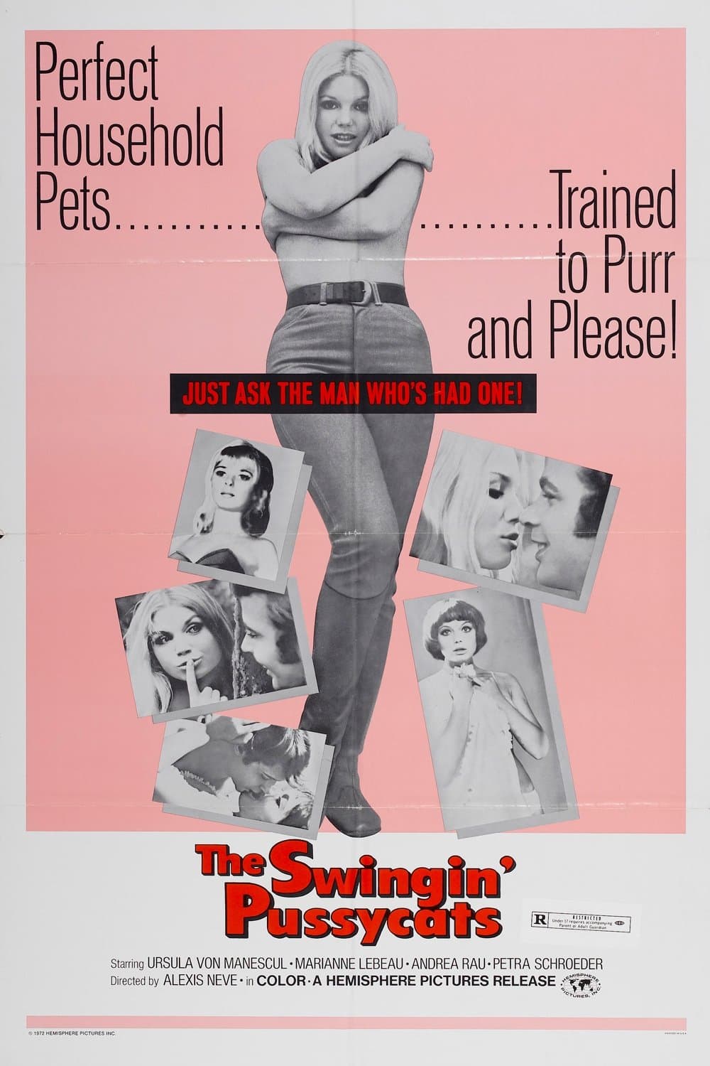 Poster The Swingin' Pussycats
